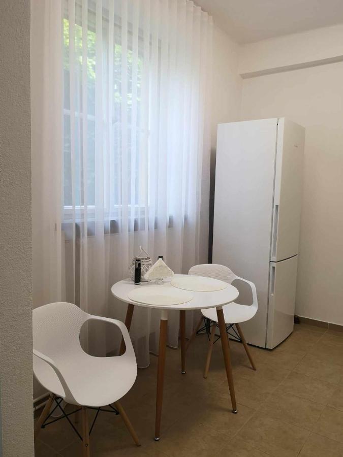 Apartman Dlouha 207 Litoměřice Extérieur photo